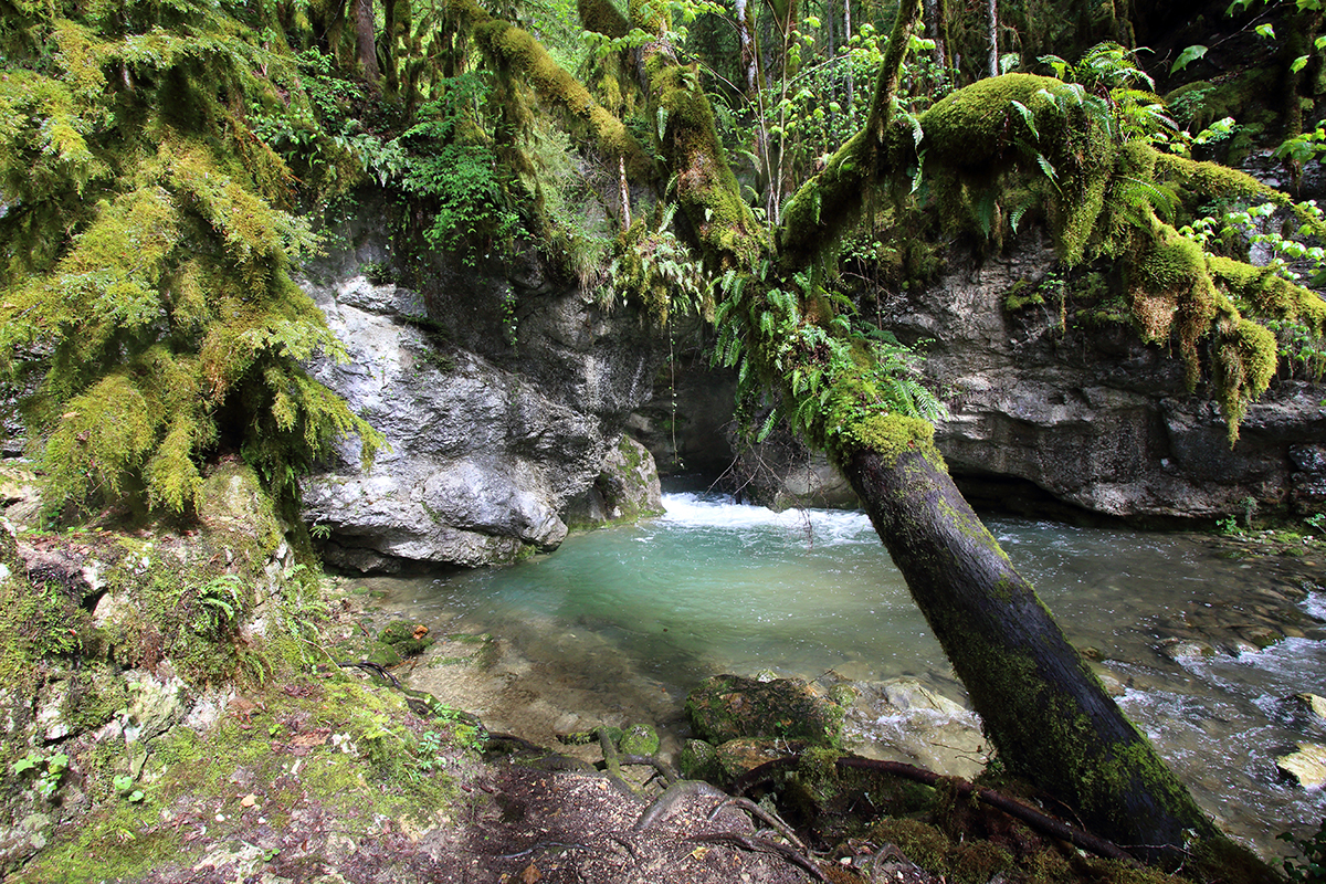 cascade de vulvoz