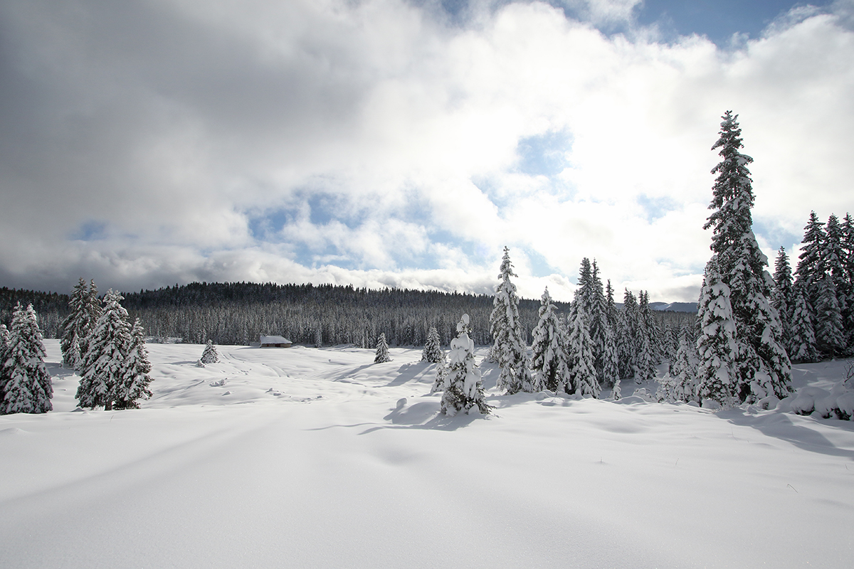 hiver jura