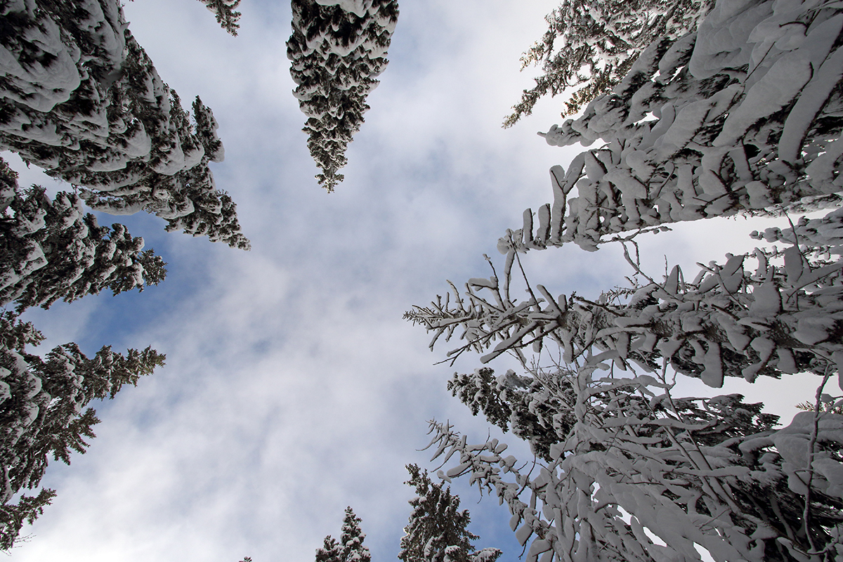 hiver jura