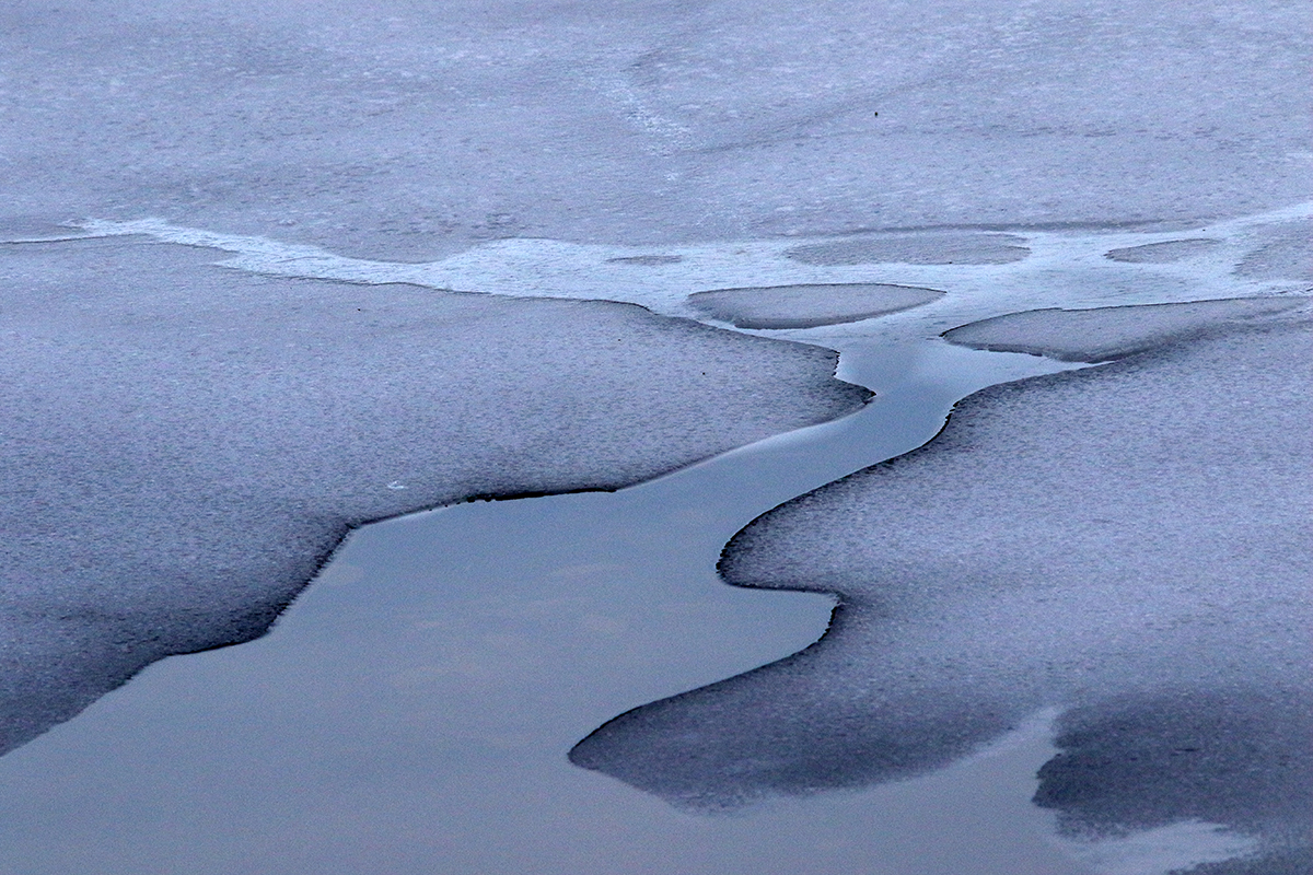 lac gelé