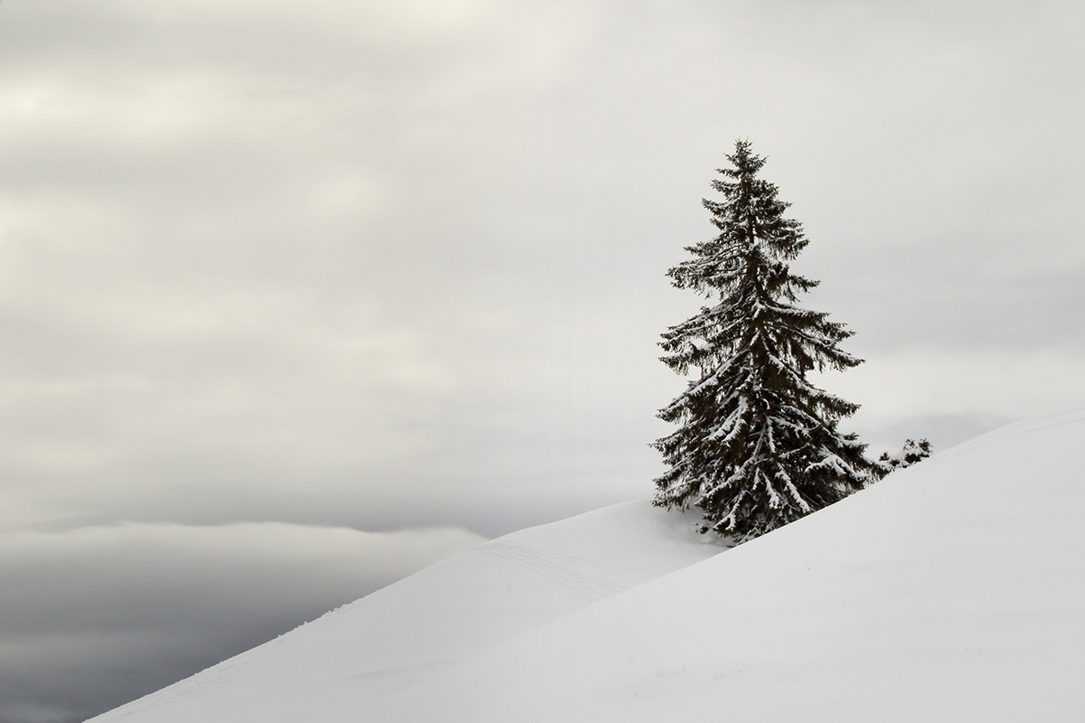 neige hautes combes jura