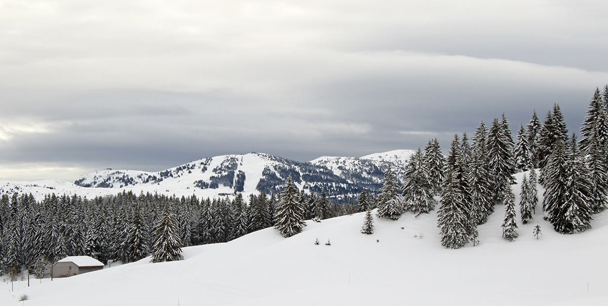 neige hautes combes jura