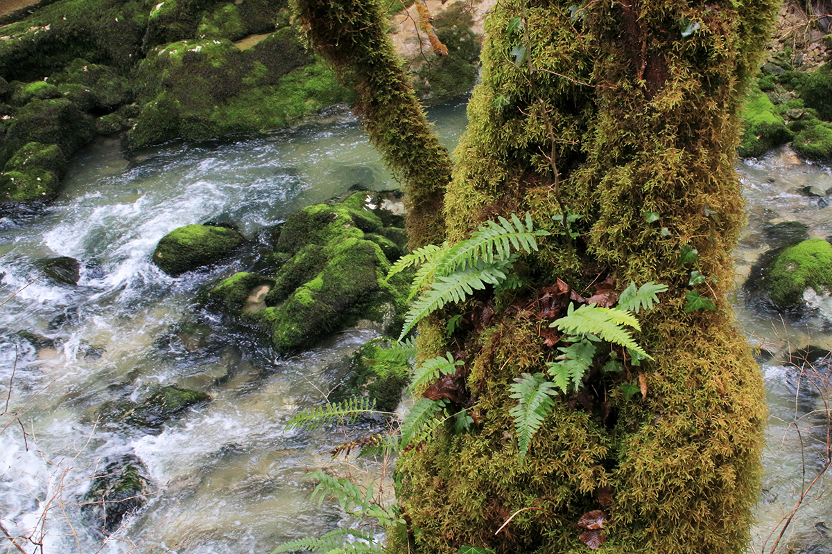 trou de l’abime jura