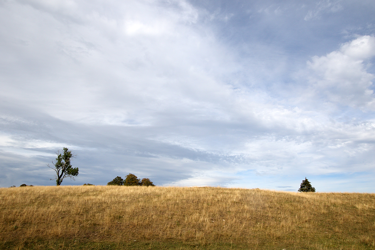 hautes combes en été 