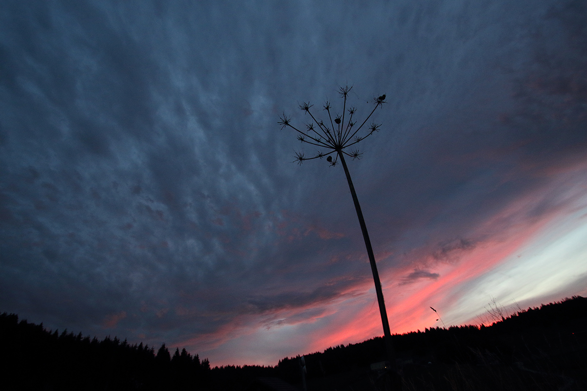 coucher soleil jura