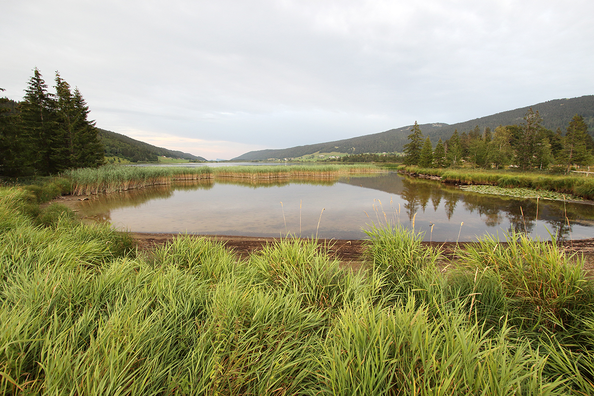 lac des rosses