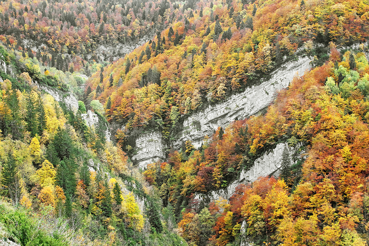 automne jura