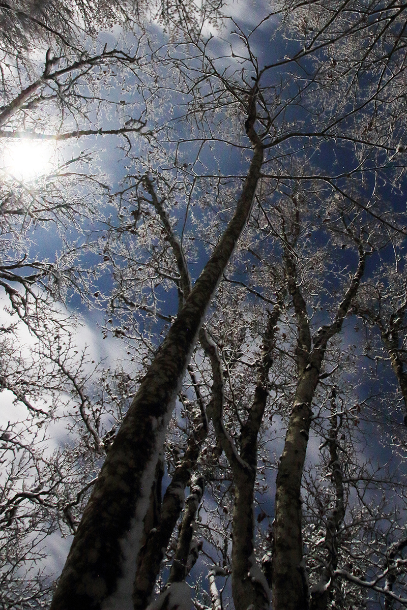 roches d’orvaz clair de lune hiver