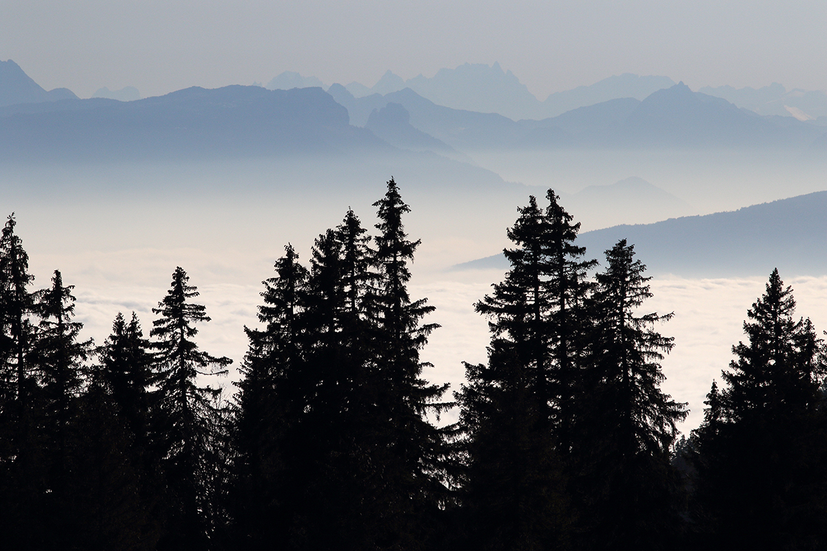 forêt jura alpes