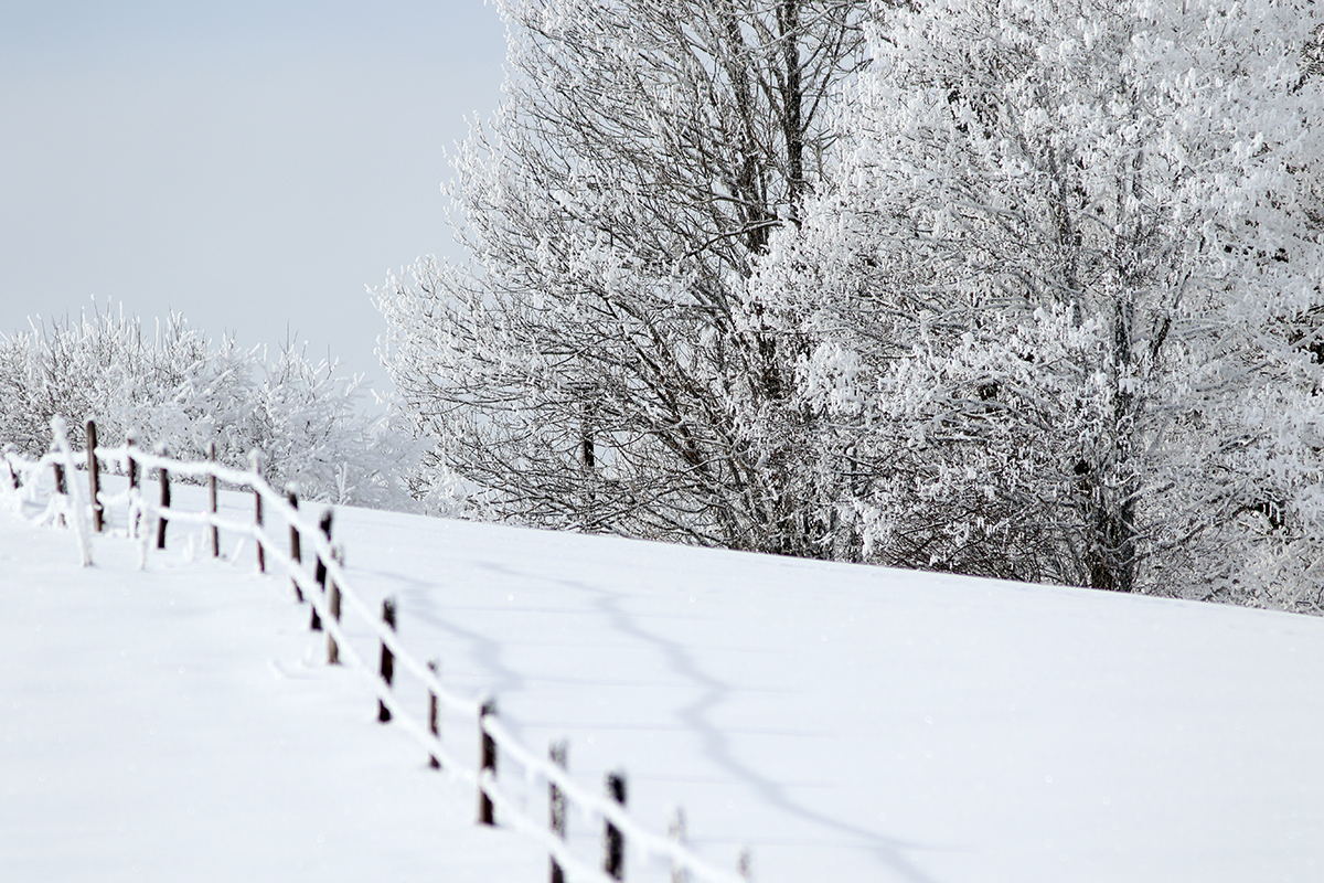 hiver jura