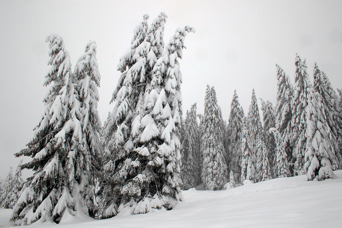 hiver jura neige