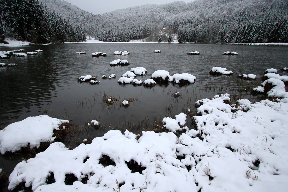 lac viry 25 03 2024  (7)