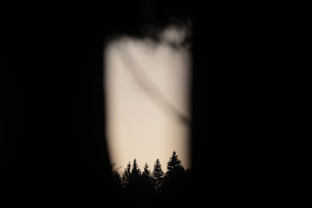 54 (2)