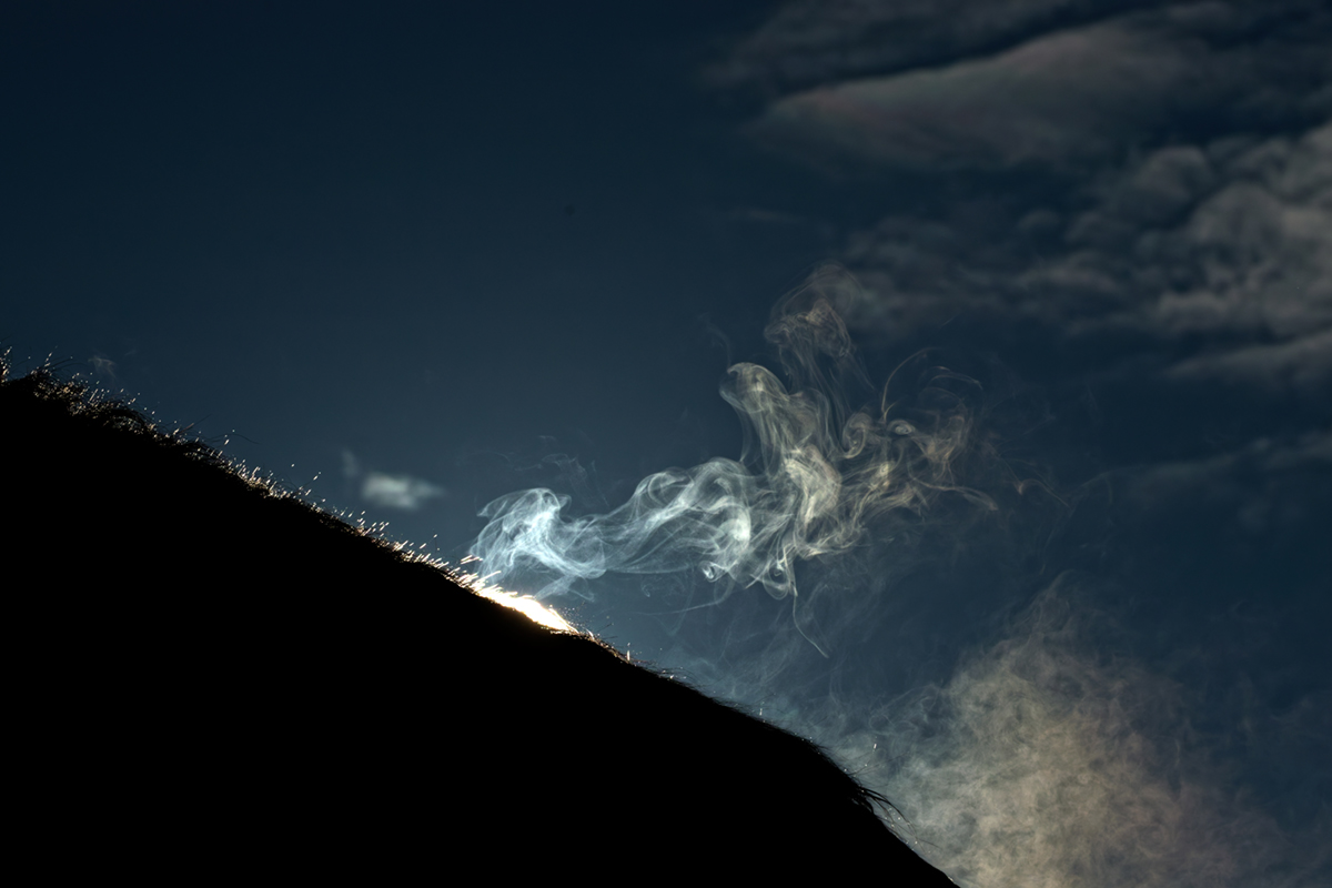 cheval fume soleil (4)