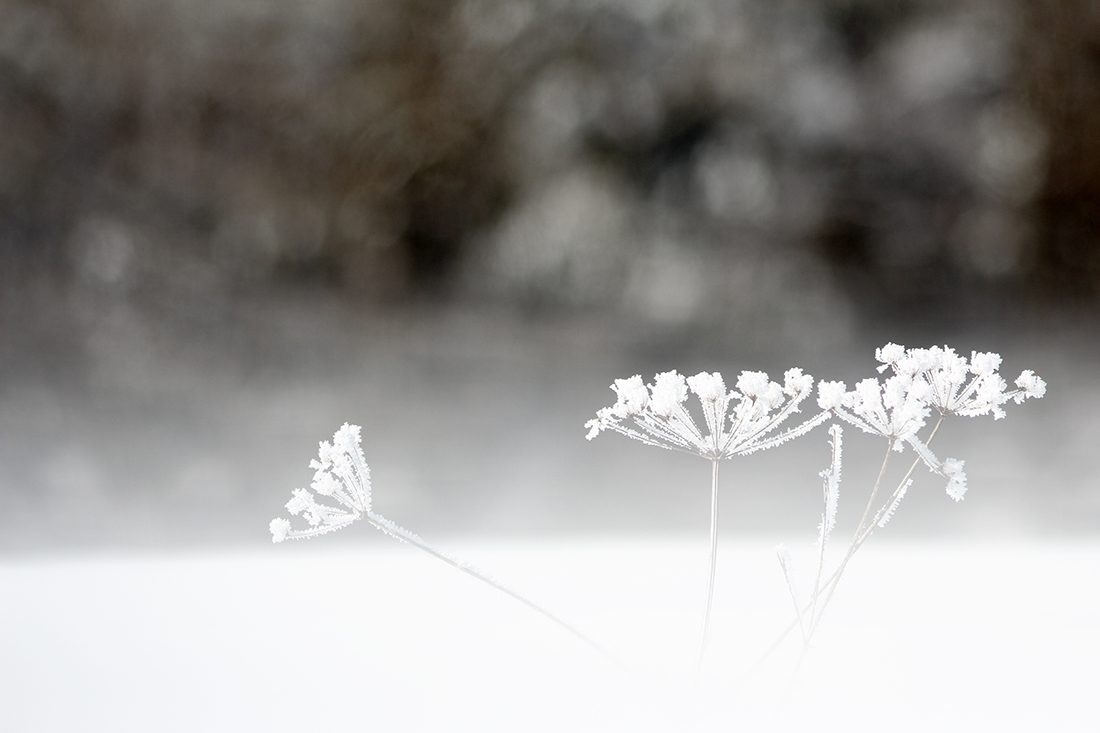 givre haut-jura hiver