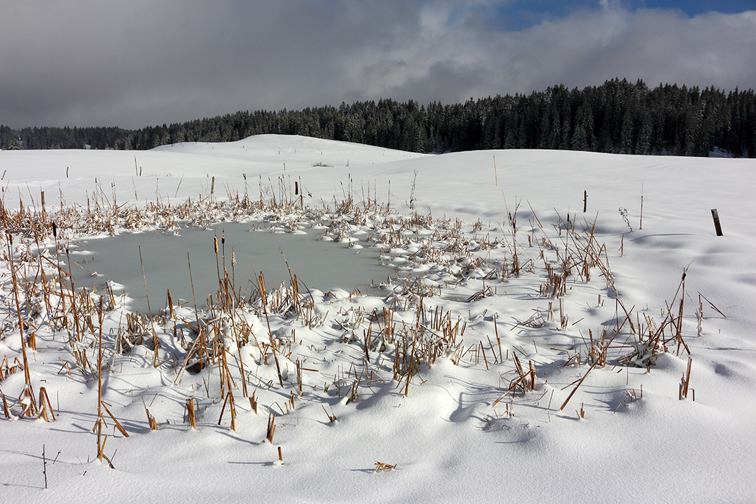 Neige hautes combes haut-jura