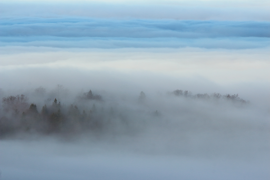 brumes jura