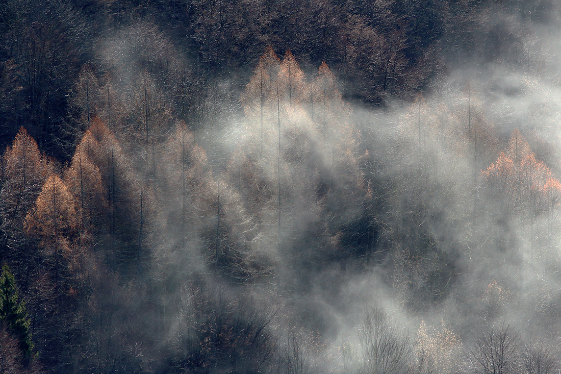 brumes jura