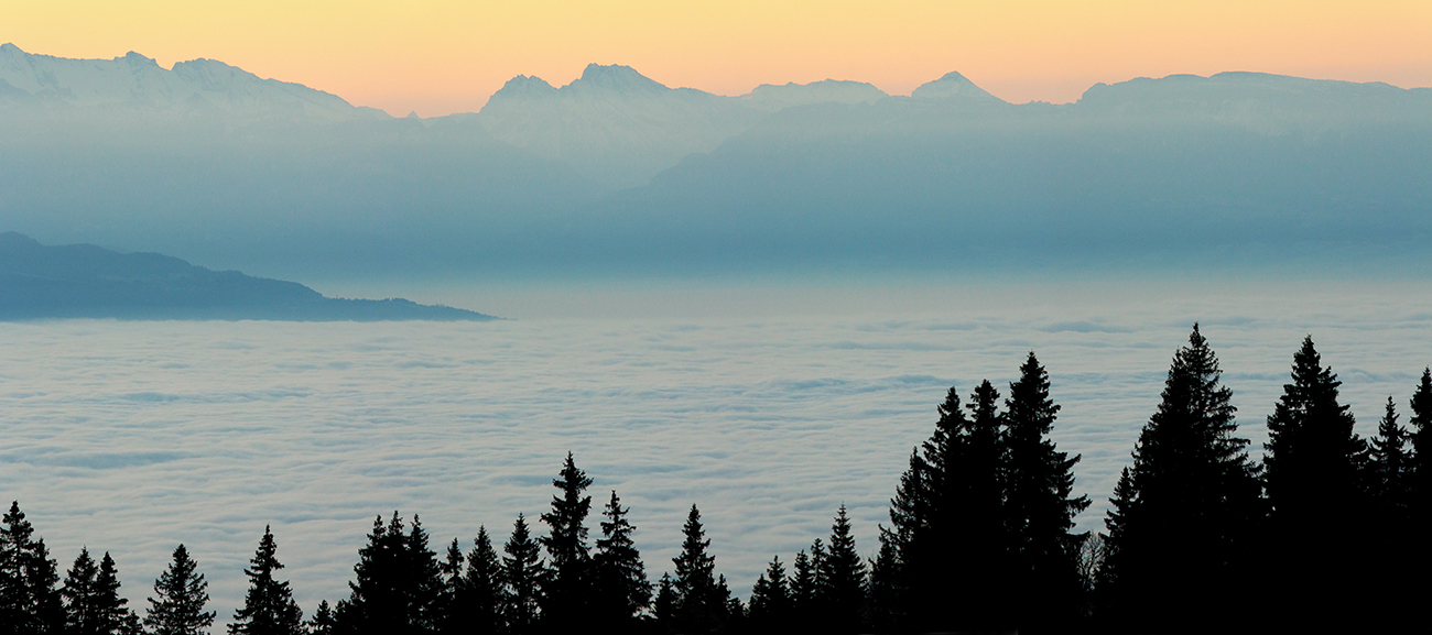 belvédère Turet mer de brouillard