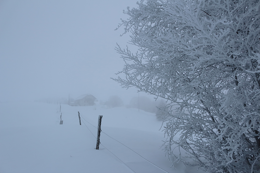 les molunes en hiver