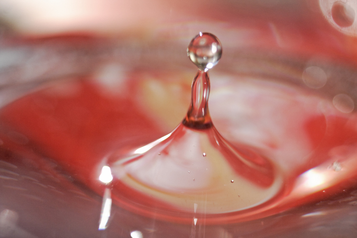 Goutte d’automne, macro, Julien ARBEZ