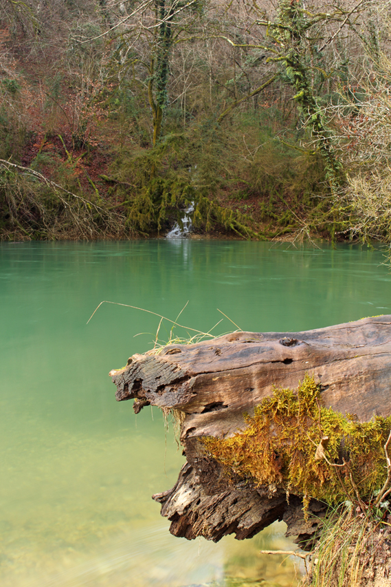 source du groin, bugey, julien arbez