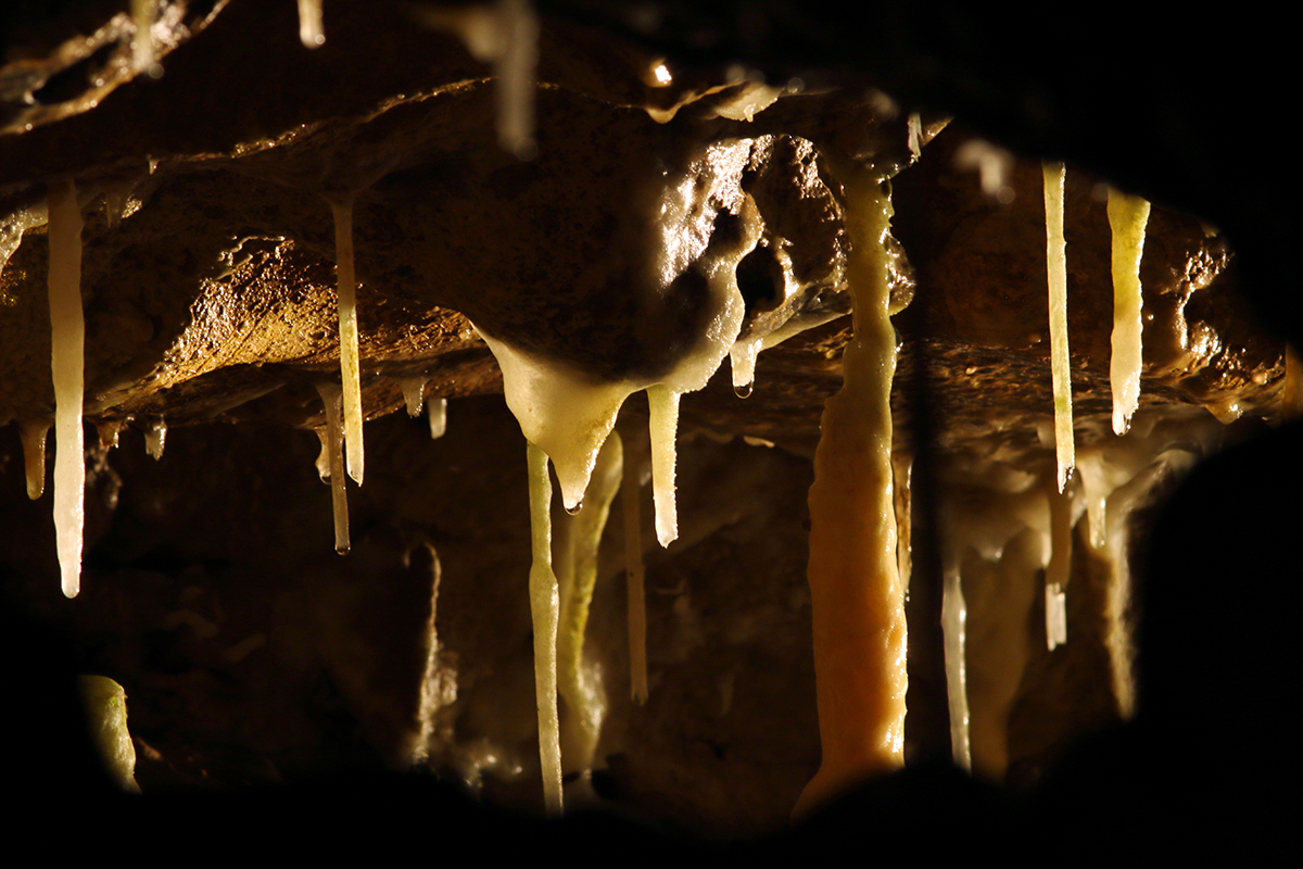grottes de vallorbe
