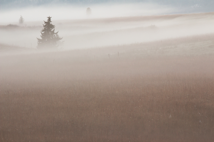 cerf automne aravis alpes thones glieres julien arbez