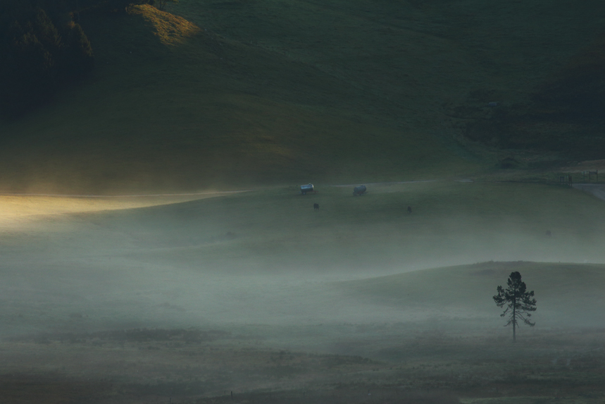 cerf automne aravis alpes thones glieres julien arbez