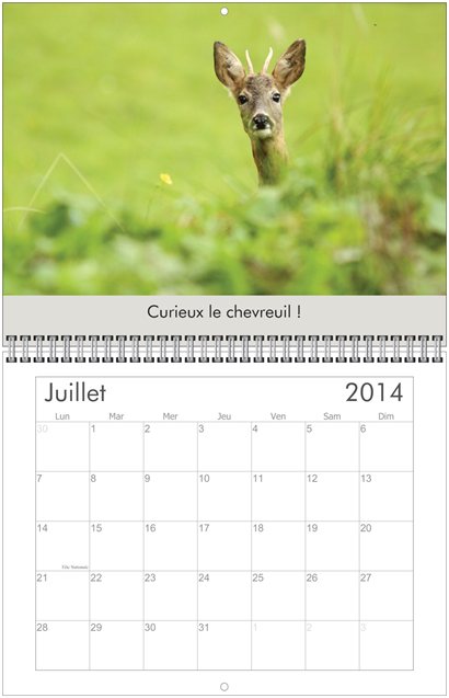 calendrier 2014 Julien ARBEZ