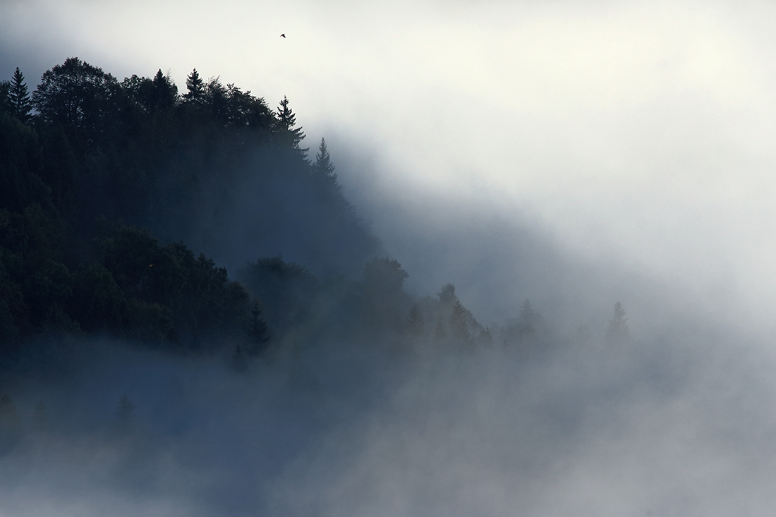 jura automne brumes