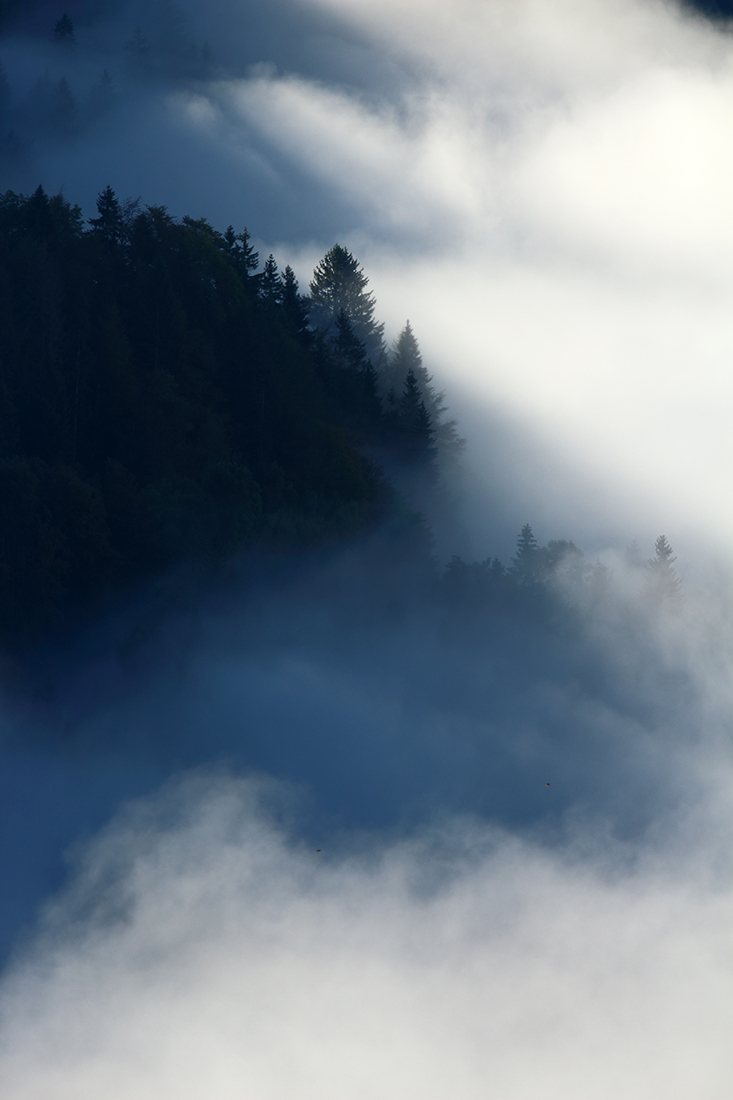 jura automne brumes