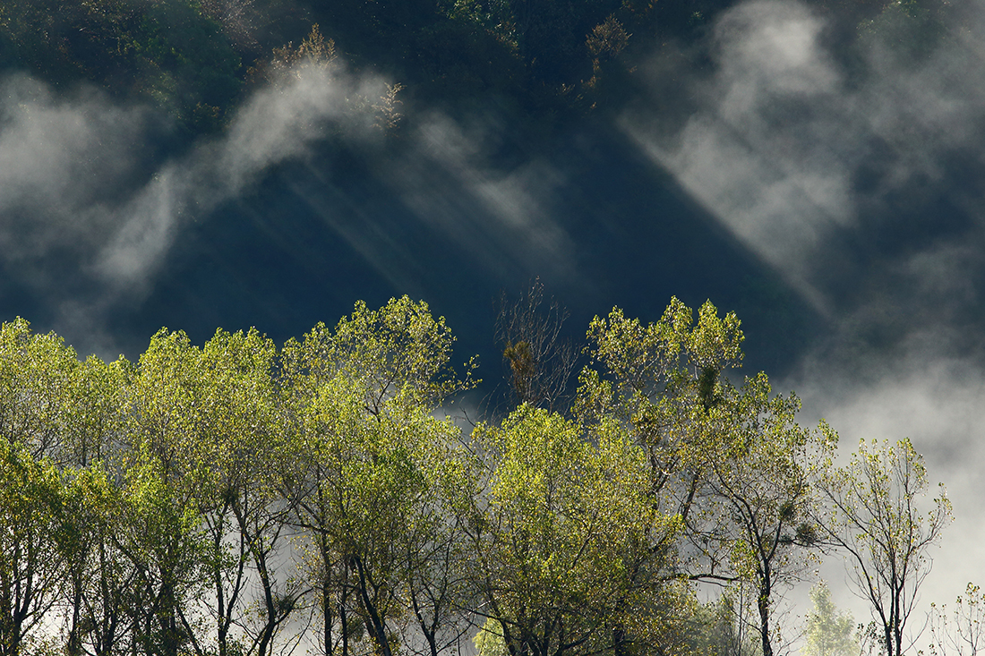 jura automne brumes