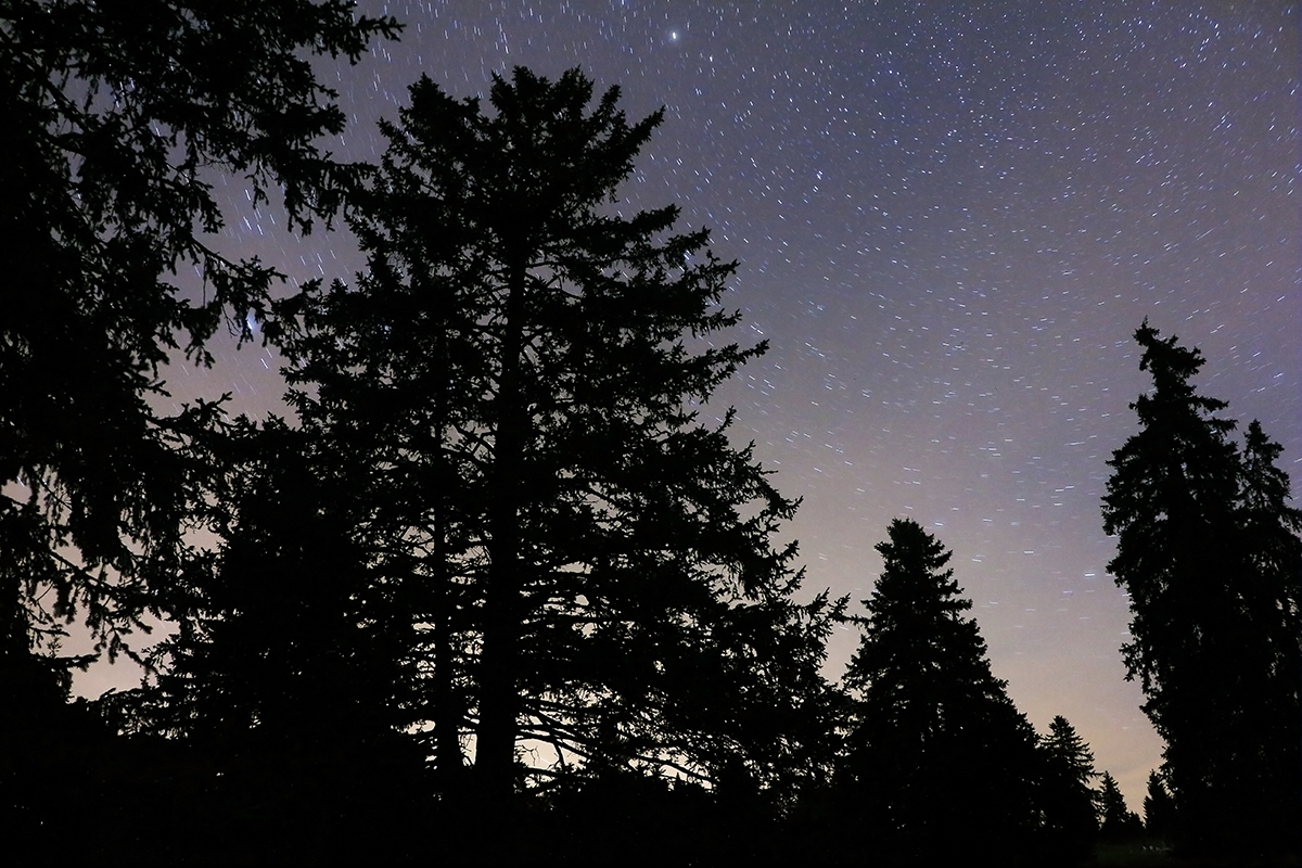 clair de lues etoiles jura