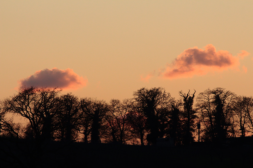 marais de sionnet soir julien arbez