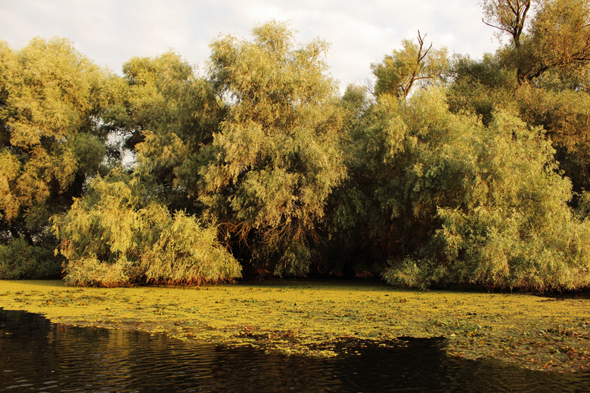 paysages delta du danube julien arbez