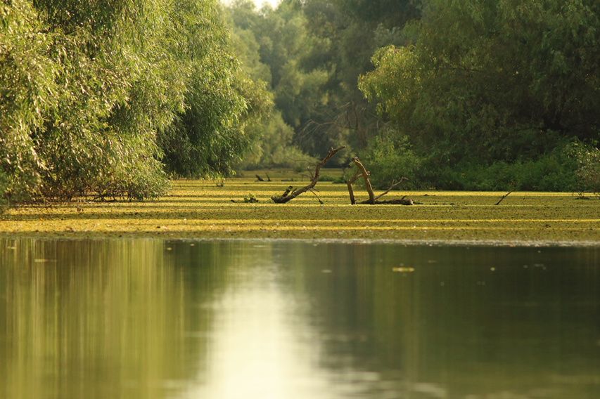 paysages delta du danube julien arbez