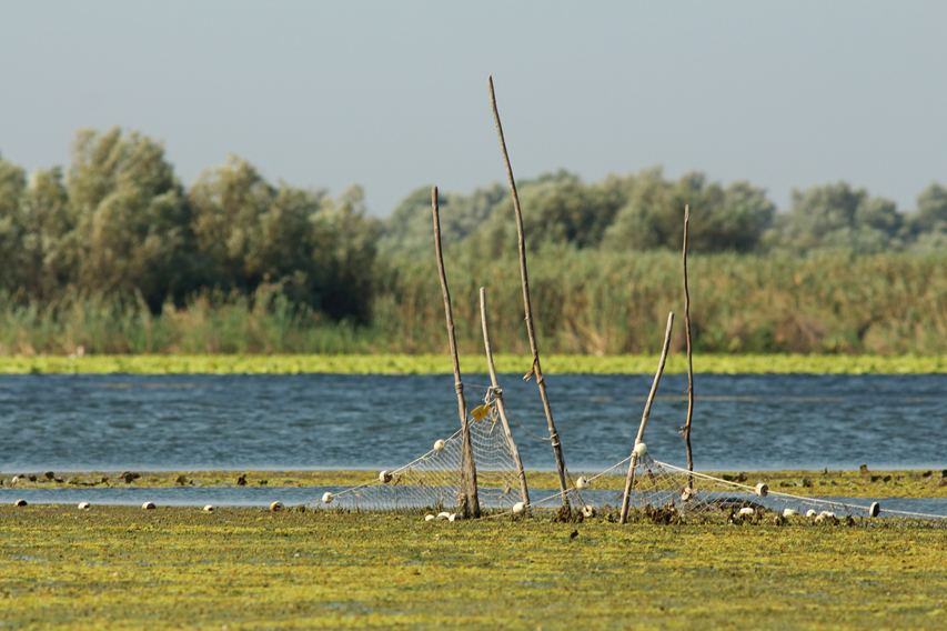 filets de pêche delta du danube julien arbez