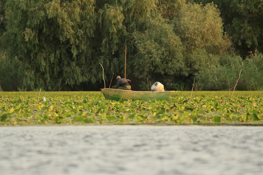 filets de pêche delta du danube julien arbez