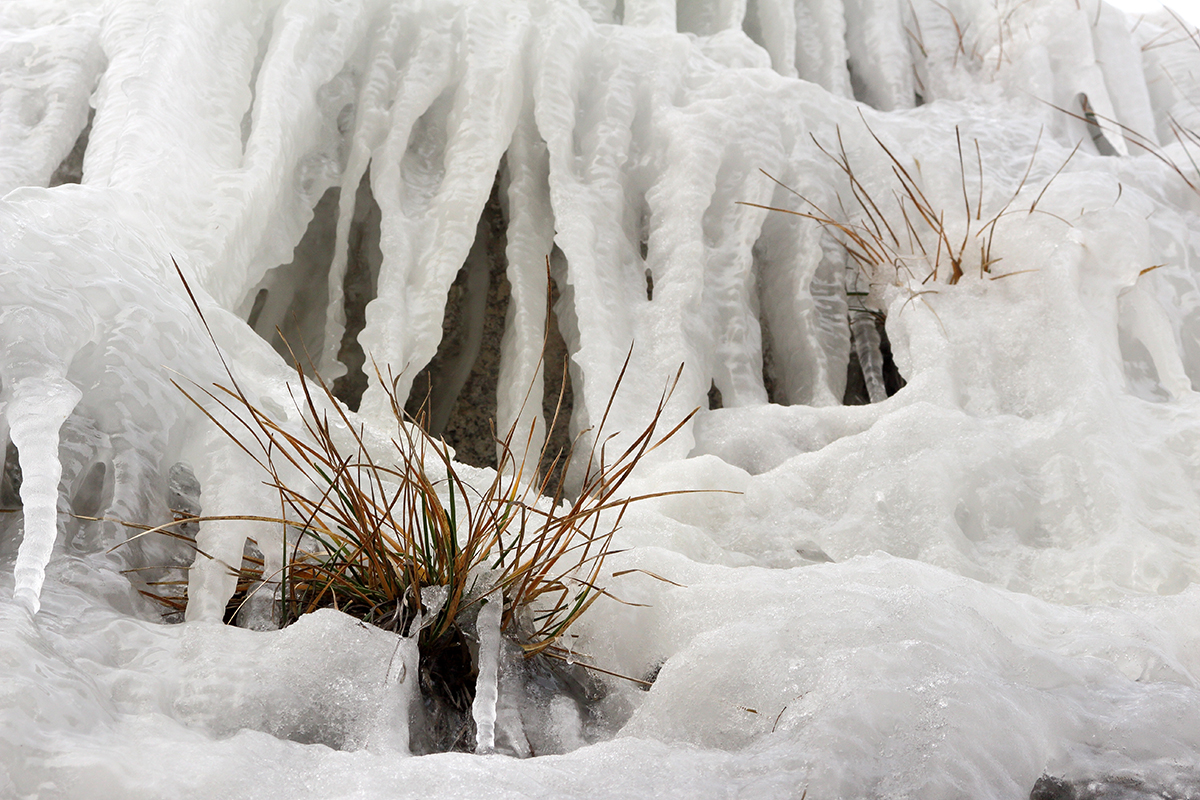 glace chapeau de gendarme