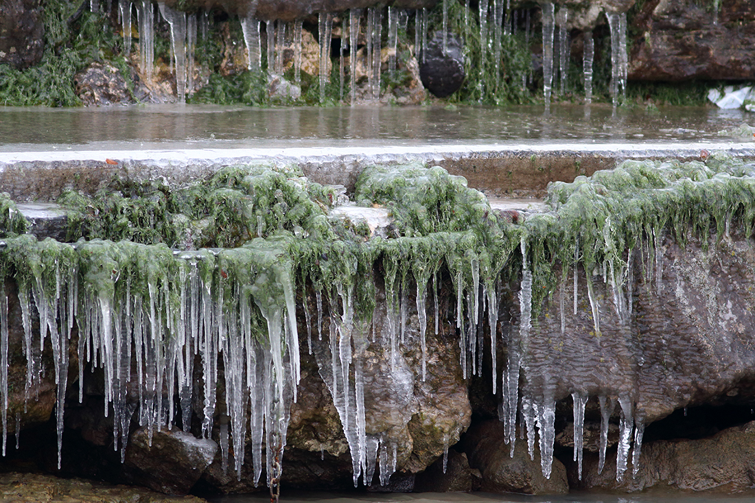 glace lac léman gelé