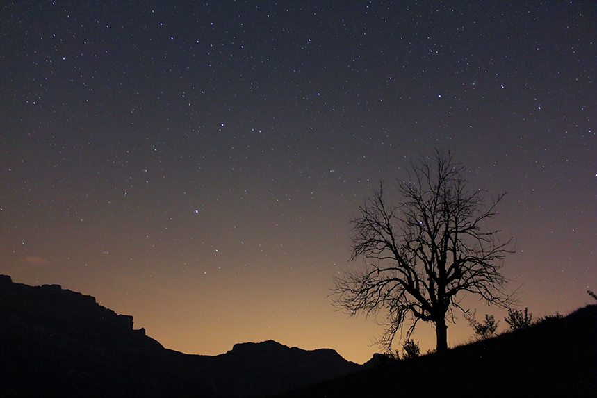 étoiles filantes perséides