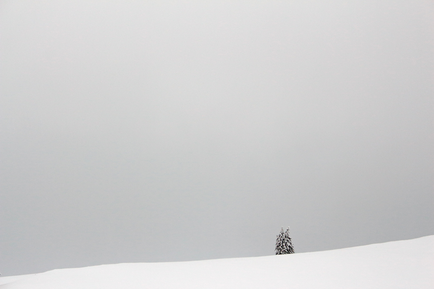 franches montagnes gümmenen julien arbez