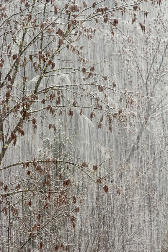 chutes de neige, julien arbez