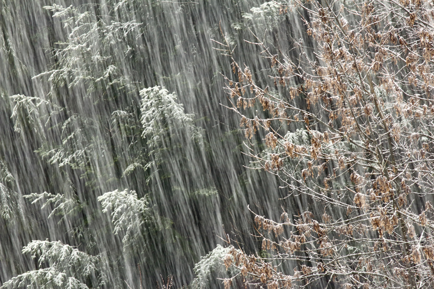 chutes de neige, julien arbez