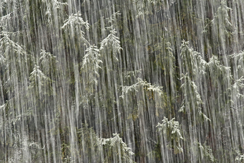 chutes de neige, julien arbez