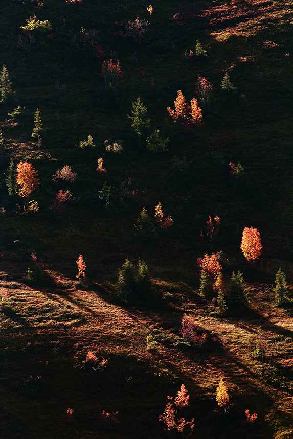 Col des annes