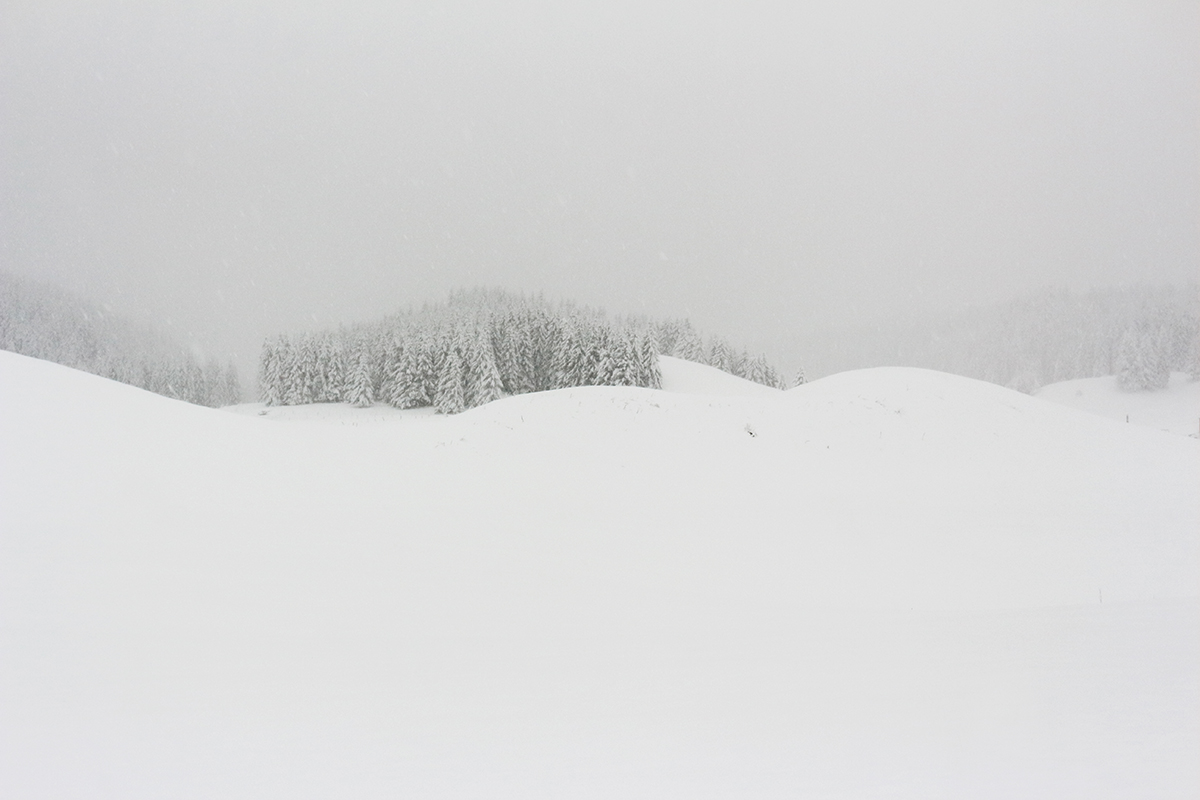 hermine blanche hiver jura