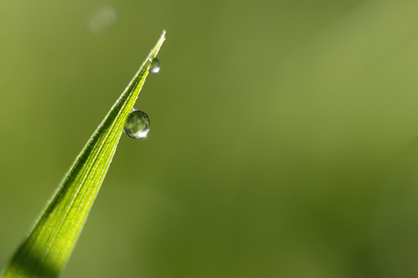 macro goutte d’eau julien arbez