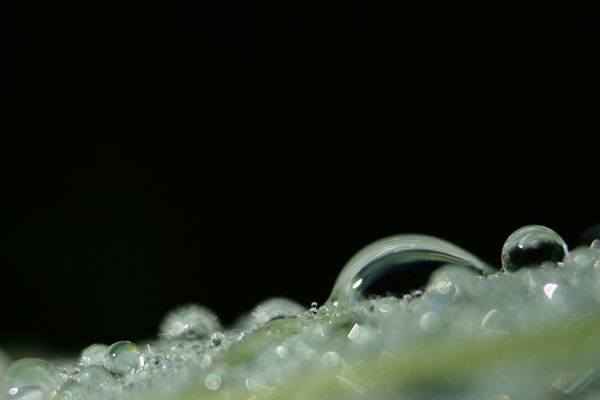 macro goutte d’eau julien arbez